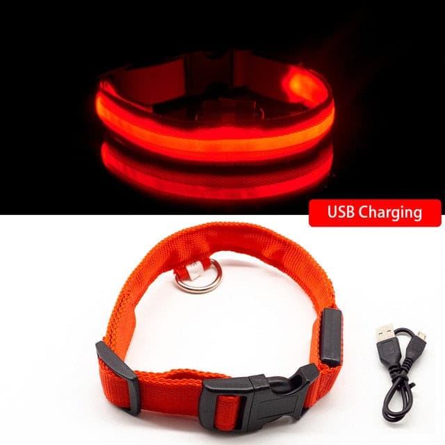 LED Hundehalsband mit USB - die Beste Halsbänder & Geschirre bei The Masked Frenchie - Nur €12.99!