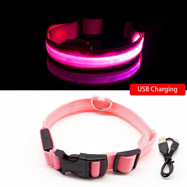 LED Hundehalsband mit USB - die Beste Halsbänder & Geschirre bei The Masked Frenchie - Nur €12.99!