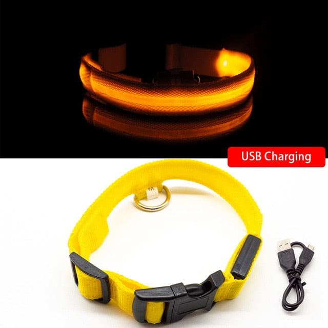 LED Hundehalsband mit USB - die Beste Halsbänder & Geschirre bei The Masked Frenchie - Nur €12.99!