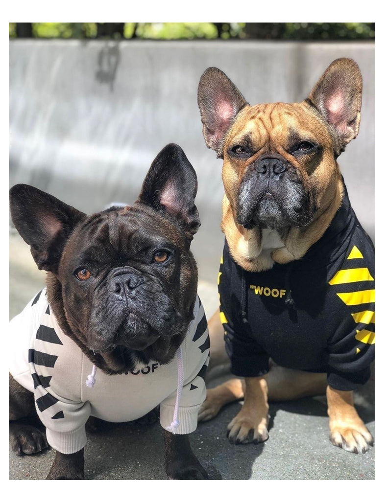 Gefütterter Schwarzer Sport-Kapuzenpulli mit gelben Streifen - die Beste Hundebekleidung bei The Masked Frenchie - Nur €21.99!