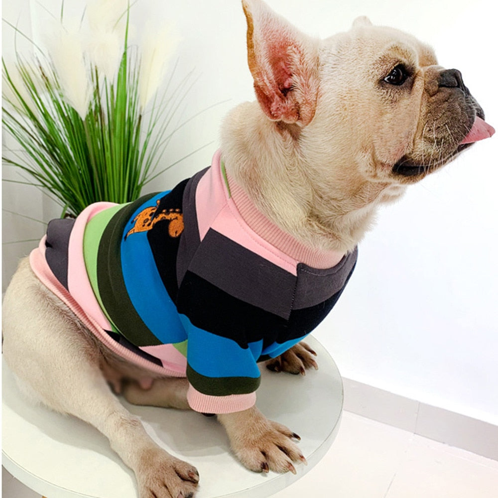 Partner Look! Bunt Gestreifte Giraffe - die Beste Hundebekleidung bei The Masked Frenchie - Nur €21.99!