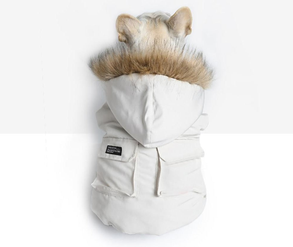 Fashionista Schneeanzug mit Faux-Fur Kapuze - die Beste Hundebekleidung bei The Masked Frenchie - Nur €60.99!