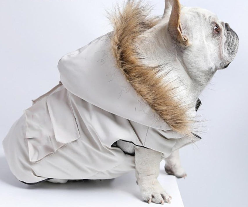 Fashionista Schneeanzug mit Faux-Fur Kapuze - die Beste Hundebekleidung bei The Masked Frenchie - Nur €60.99!