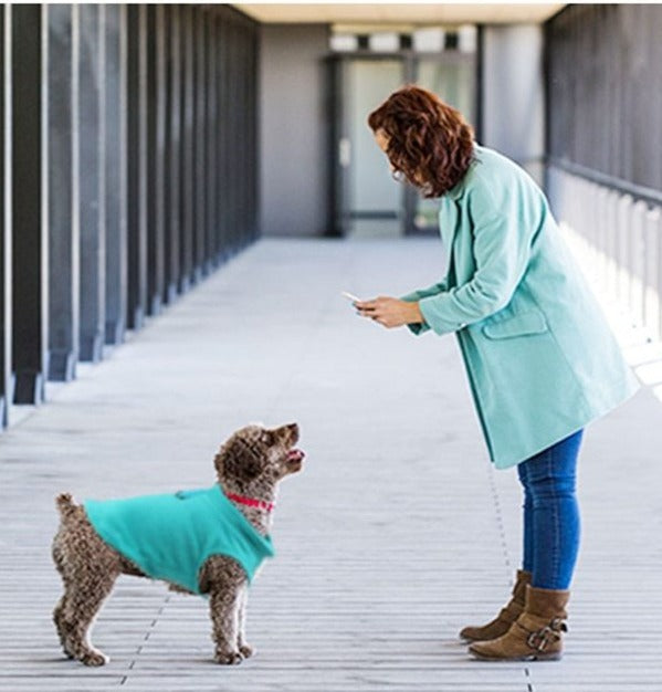 Winter Fleece Weste in Türkis - die Beste Hundepulli bei The Masked Frenchie - Nur €10.00!