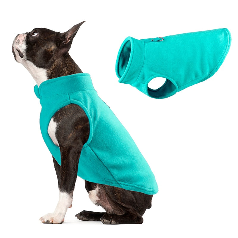 Winter Fleece Weste in Türkis - die Beste Hundepulli bei The Masked Frenchie - Nur €10.00!