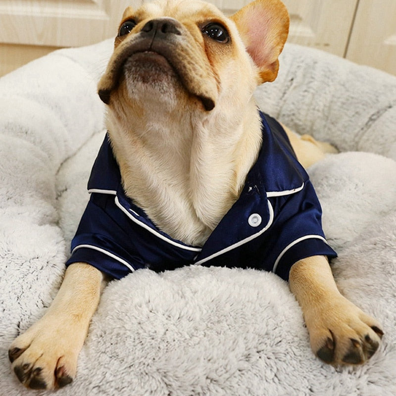 Weicher Seiden-Hundepyjama im Britischen Stil - die Beste Hundebekleidung bei The Masked Frenchie - Nur €14.99!