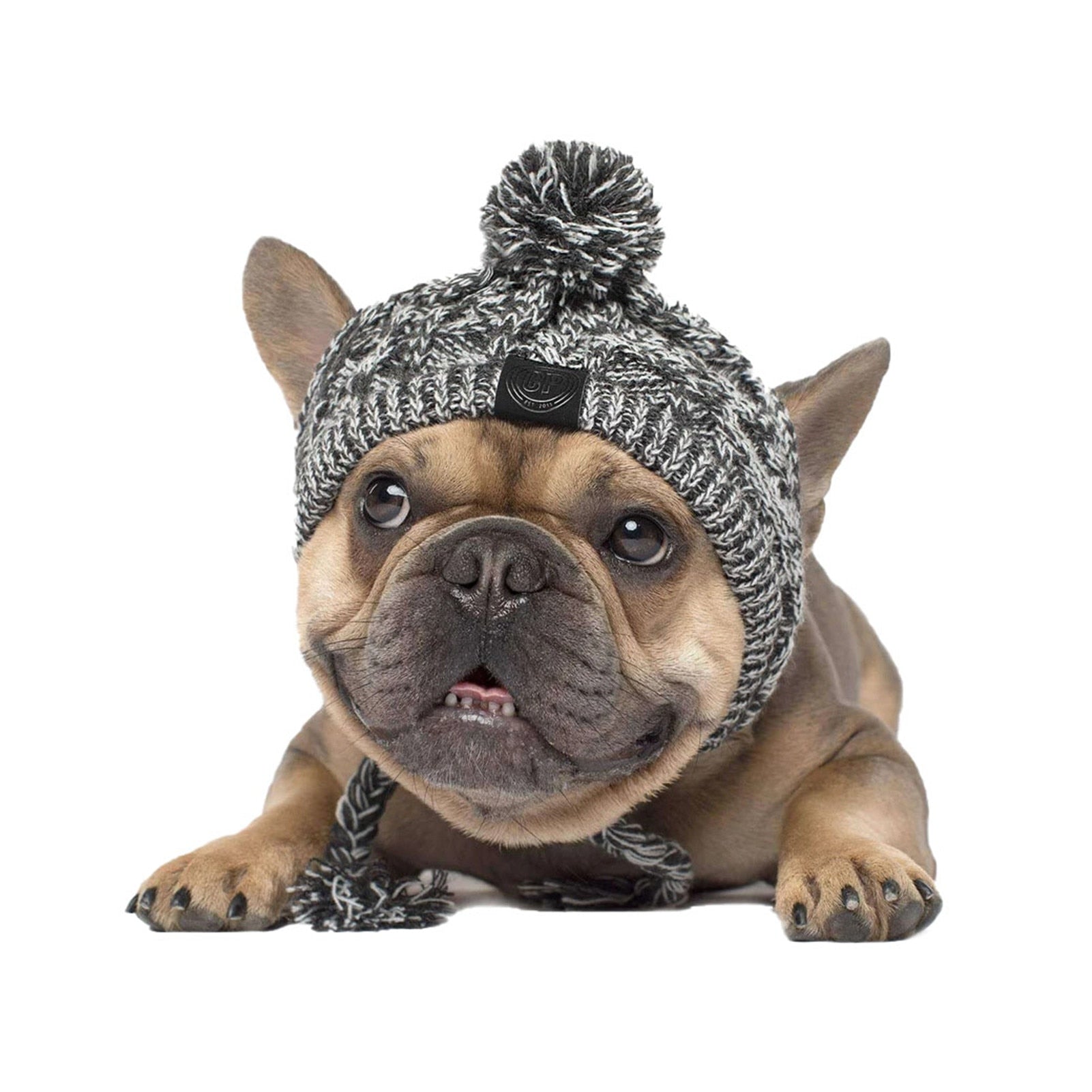 Warme Strickmütze - die Beste Hundebekleidung bei The Masked Frenchie - Nur €20.99!