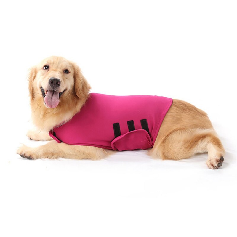 Anti-Angst Jacke (in Blau) - die Beste Hundebekleidung bei The Masked Frenchie - Nur €18.99!