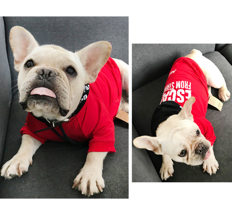 Partner Look! Hoodie Rot Schwarz "Escape from Standard" - die Beste Hundebekleidung bei The Masked Frenchie - Nur €29.99!