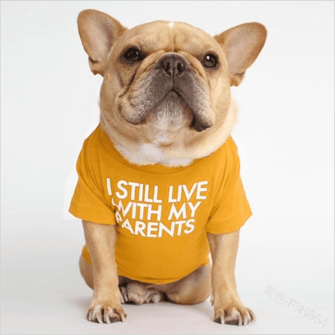 "I still live with my parents" T-shirt - Größe S-XXL - die Beste Hundebekleidung bei The Masked Frenchie - Nur €9.99!