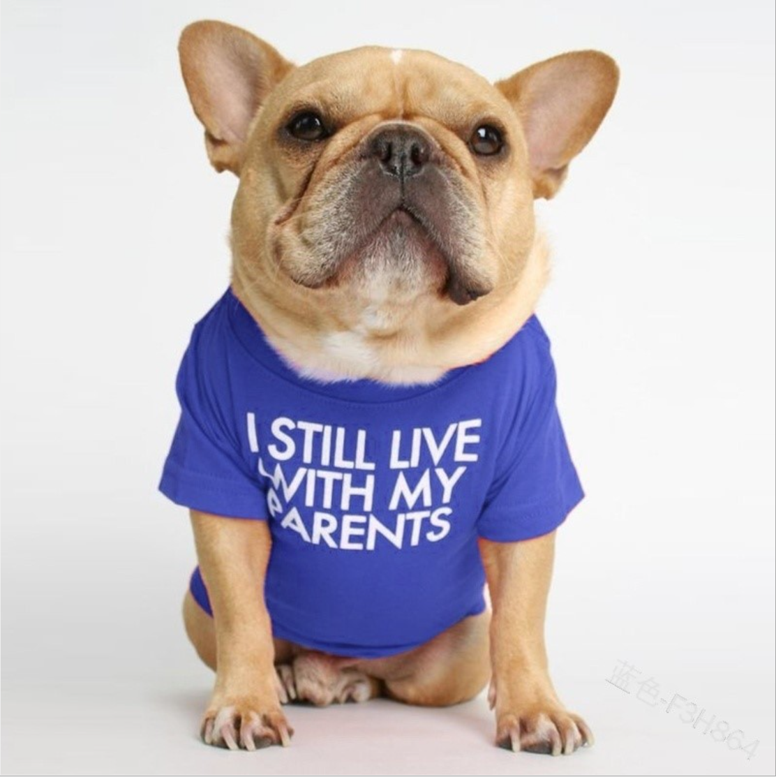 "I still live with my parents" T-shirt - Größe S-XXL - die Beste Hundebekleidung bei The Masked Frenchie - Nur €9.99!